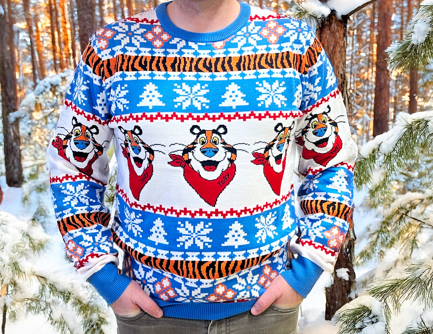 Tony Holiday Sweater